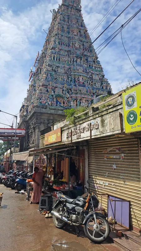 Indie: Chennai a Goa, Indie – fotka 5