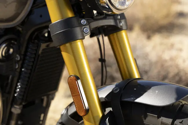 Royal Enfield Bear 650, foto 207