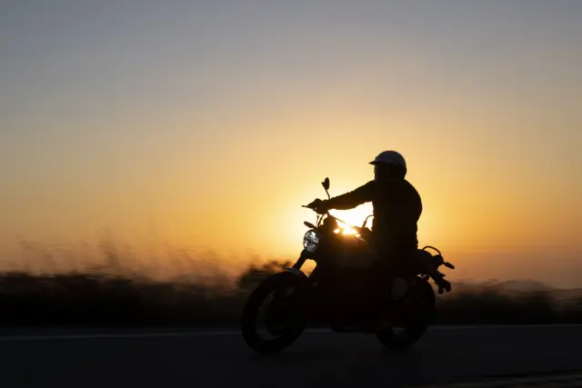 Royal Enfield Bear 650, foto 87