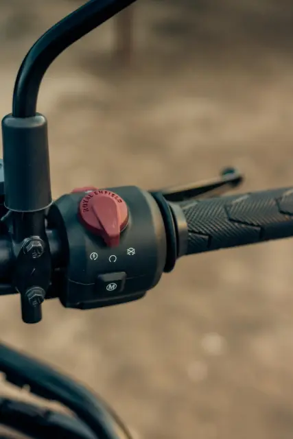 Royal Enfield Himalayan 450, foto 12