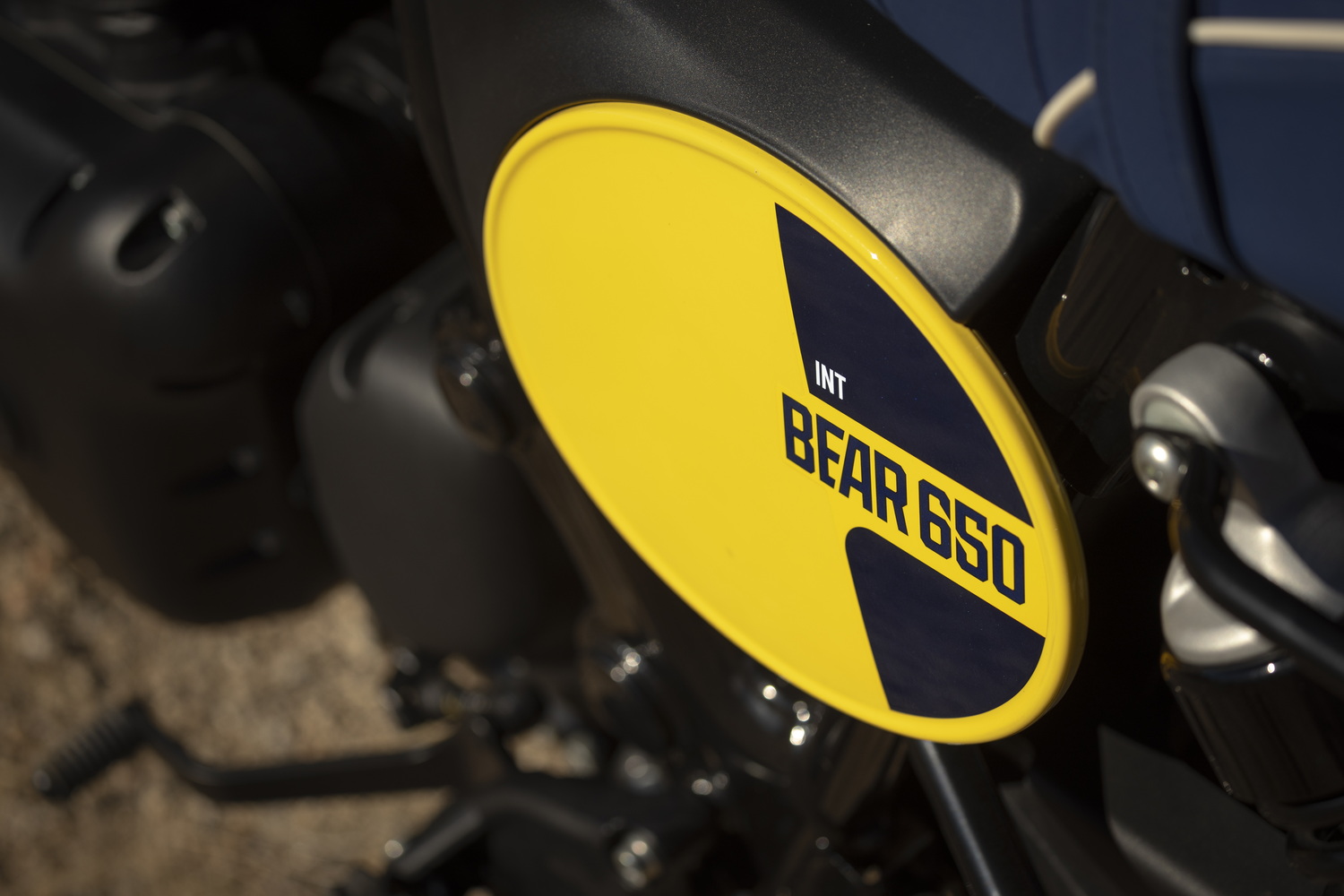 galerie: Bear 650 Thematic Images Detailed Shots