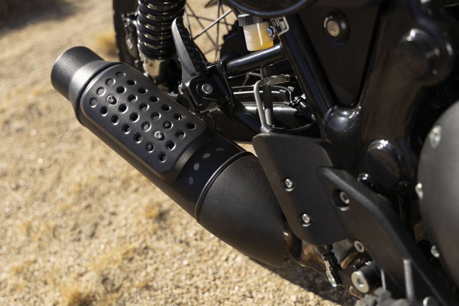 galerie: Bear 650 Thematic Images Detailed Shots
